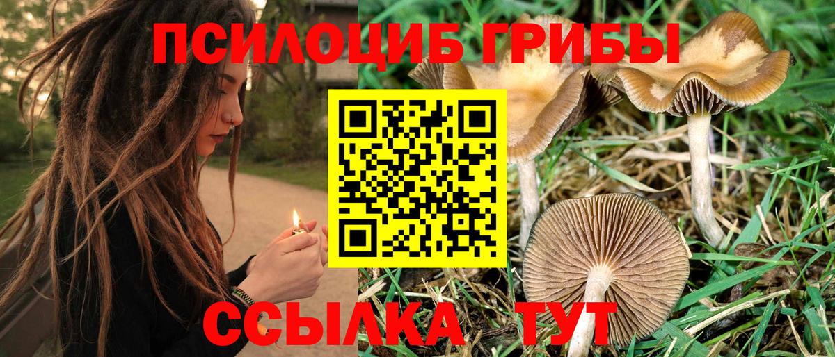 Павлово  Галлюциногенные грибы Magic Shrooms  Вход с VPN 