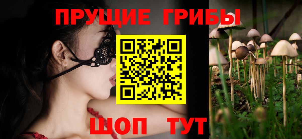 Псилоцибиновые грибы ЛСД Павлово